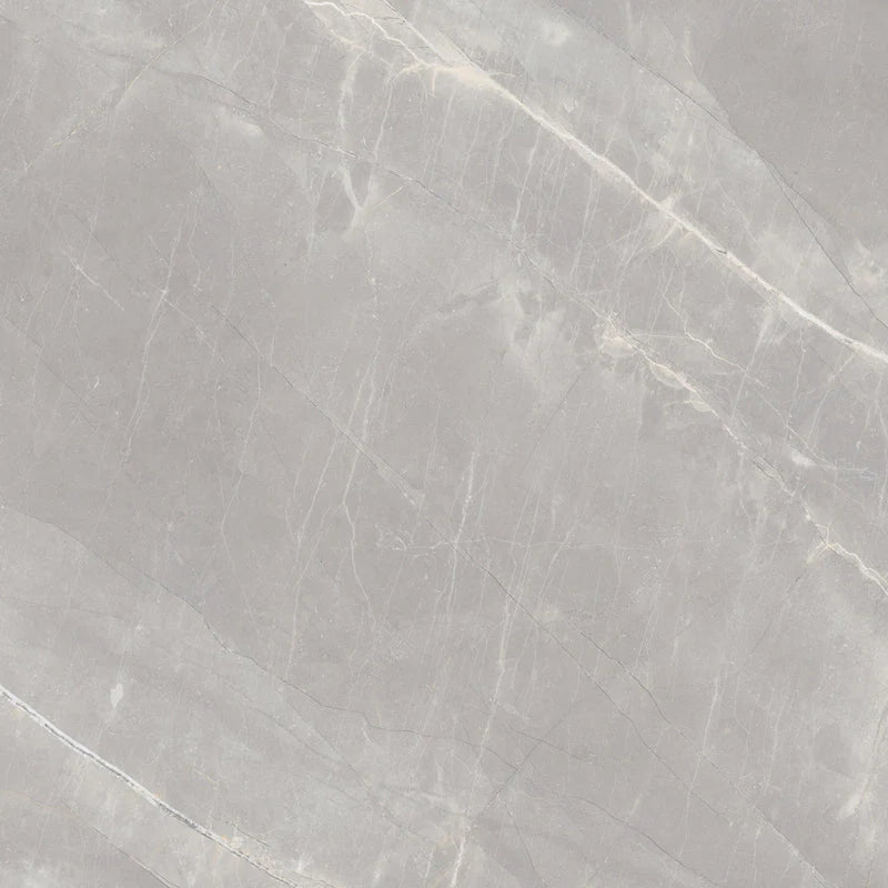 24"x24" Luxar Argento Glossy Tile $1.99/sf 16 sf/box – Source Flooring KW