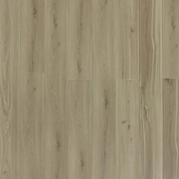 American Oak (Pad Attached) $3.99/sf 17.67sf/box