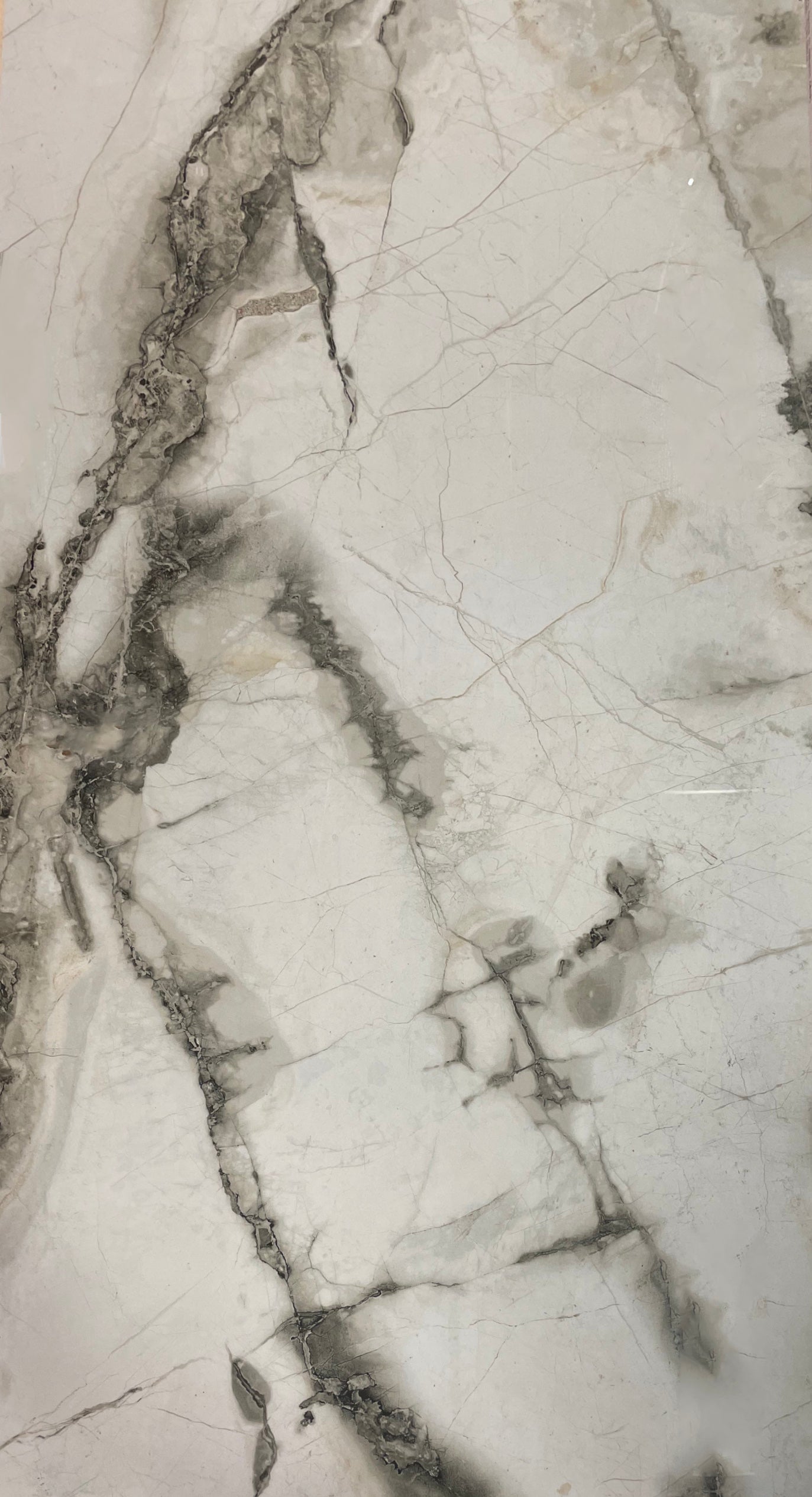 24"x48" Statuario Texta Tile $7.99/sf 15.5 sf/box