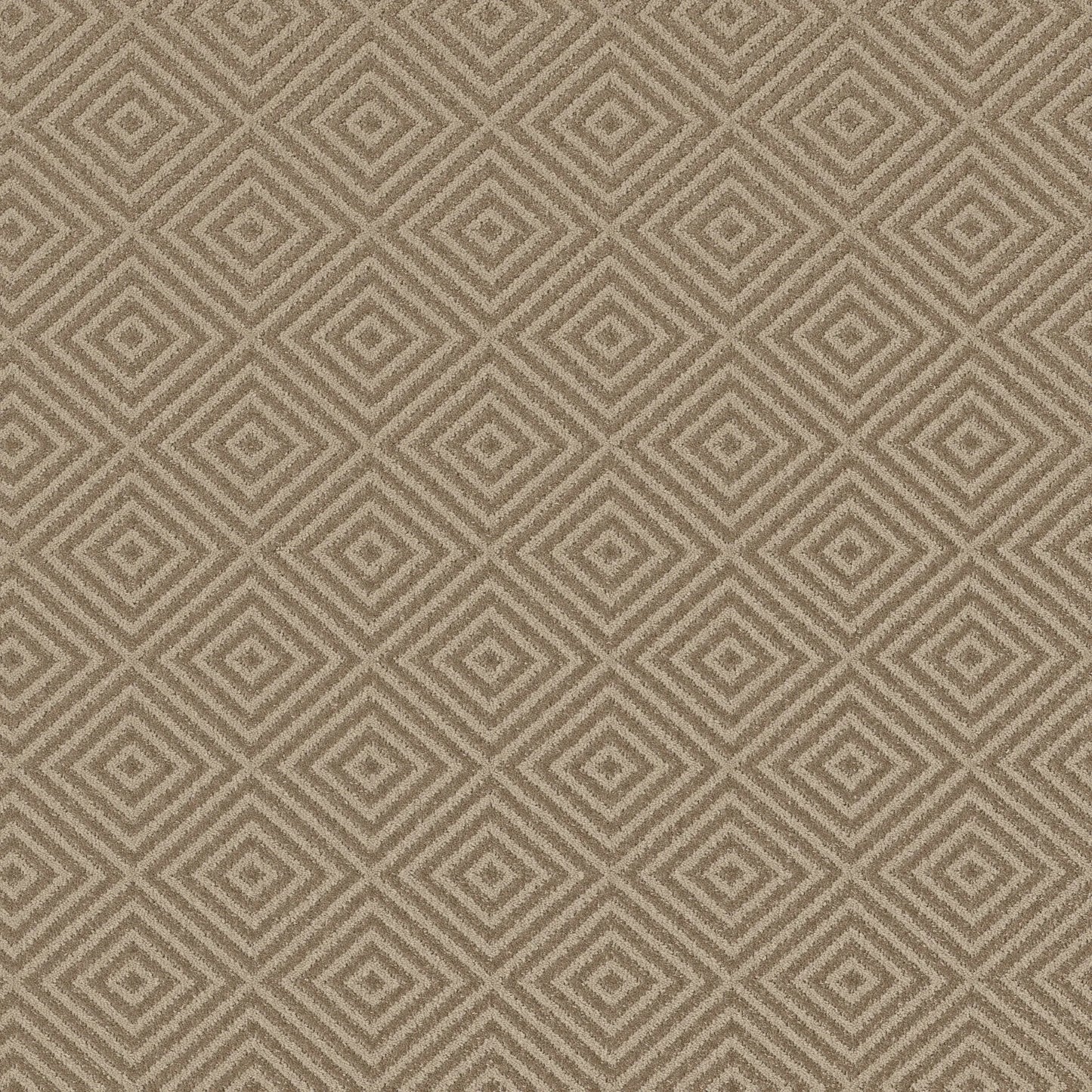 Aristocrat: Birchwood