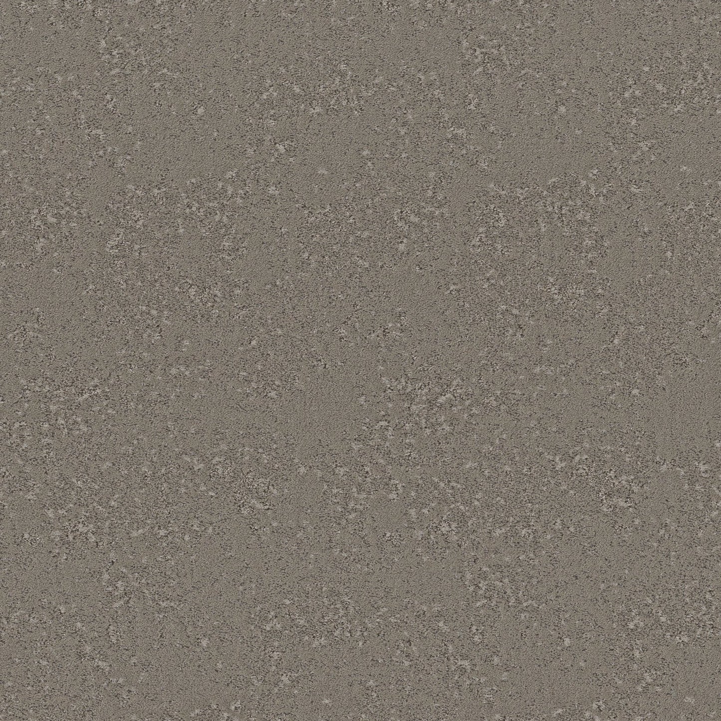 Fancy That: Barnboard