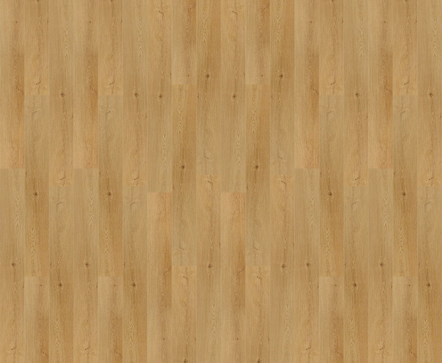 Venus Dry Back Vinyl $3.99/sf 19.75 sf/box