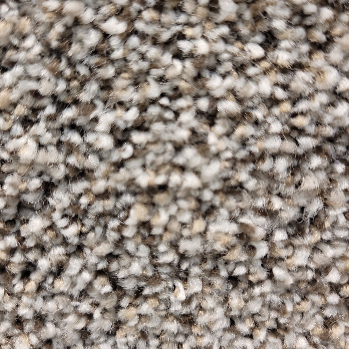 Without Limits 3 - Saddle Tan