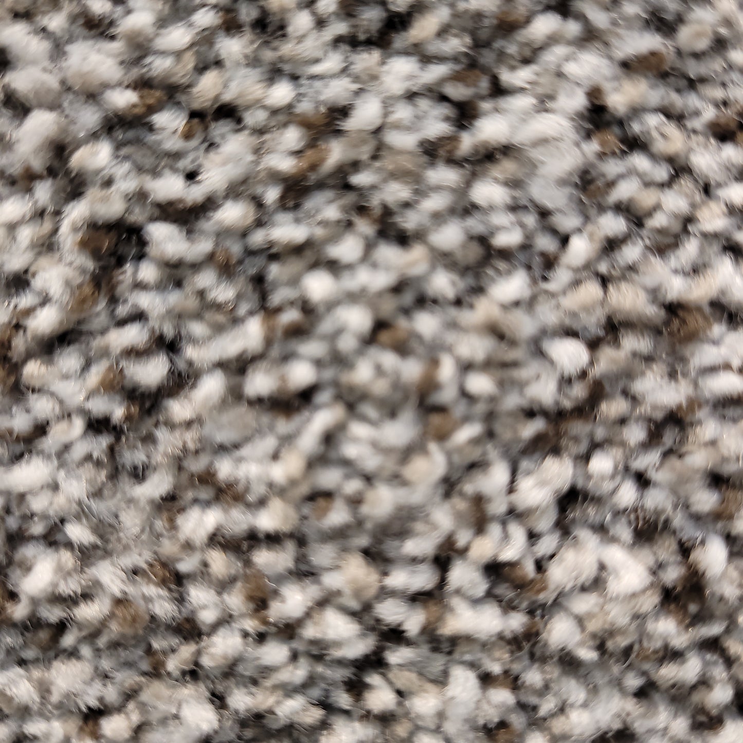 Without Limits 3 - Silverspoon