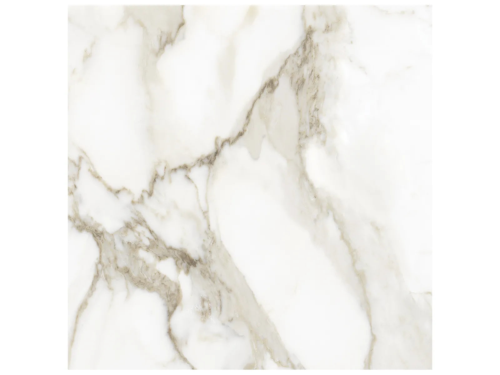 24"x24" La Marca Calacatta Paonazzo Honed Tile $3.99/sf 15.5 sf/box