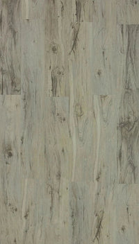 TFSPC 307-f (Pad Attached) 4.2mm Thick $1.89/sf 28.84sf/box