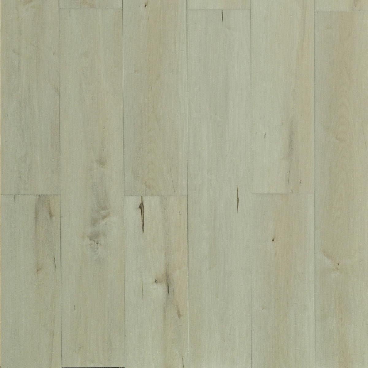 Belgrade (Pad Attached) 7mm Thick $2.89/sf 22.39 sf/box