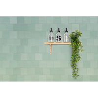 5" x 5" Sense Cactus $12.99/sqf 5.40sqf/box