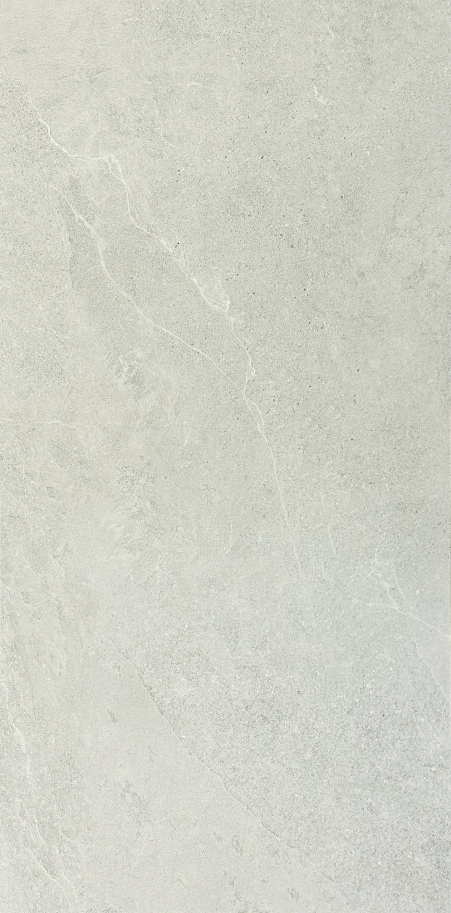 24"x48" Elementi Silver Matte Tile $5.99/sf 16 sf/box