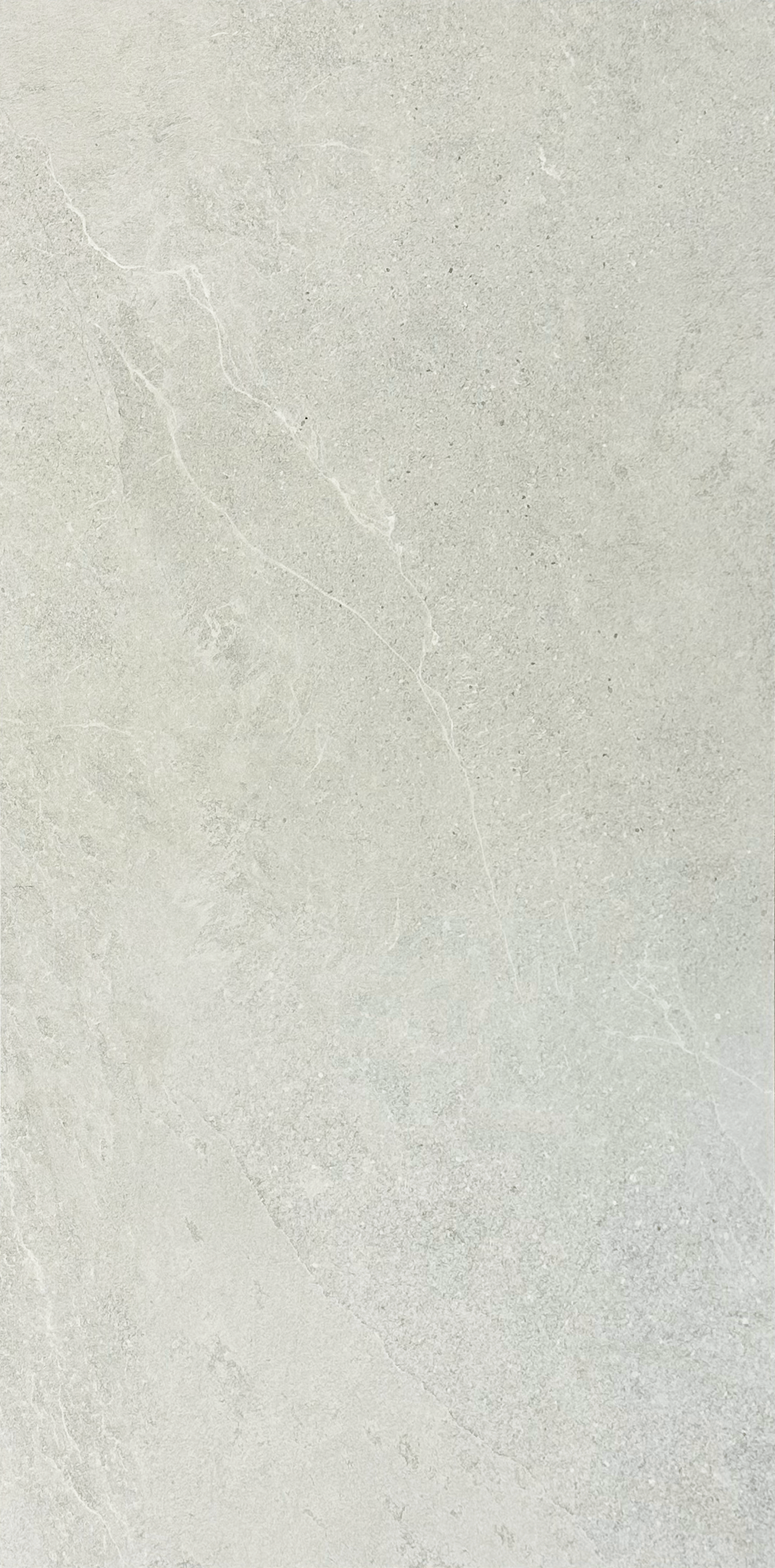 24"x48" Elementi Silver Matte Tile $5.99/sf 16 sf/box
