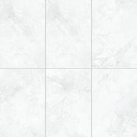 24"x48" Splendor White Matte Tile $5.99/sf 15.5 sf/box