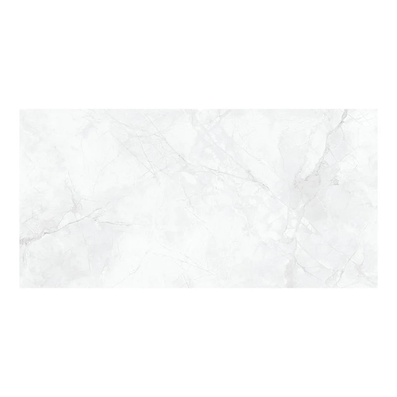 24"x48" Splendor White Matte Tile $5.99/sf 15.5 sf/box