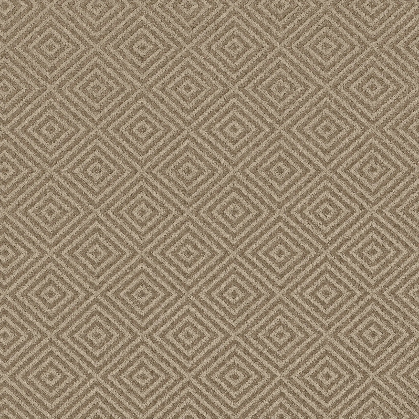 Aristocrat: Birchwood