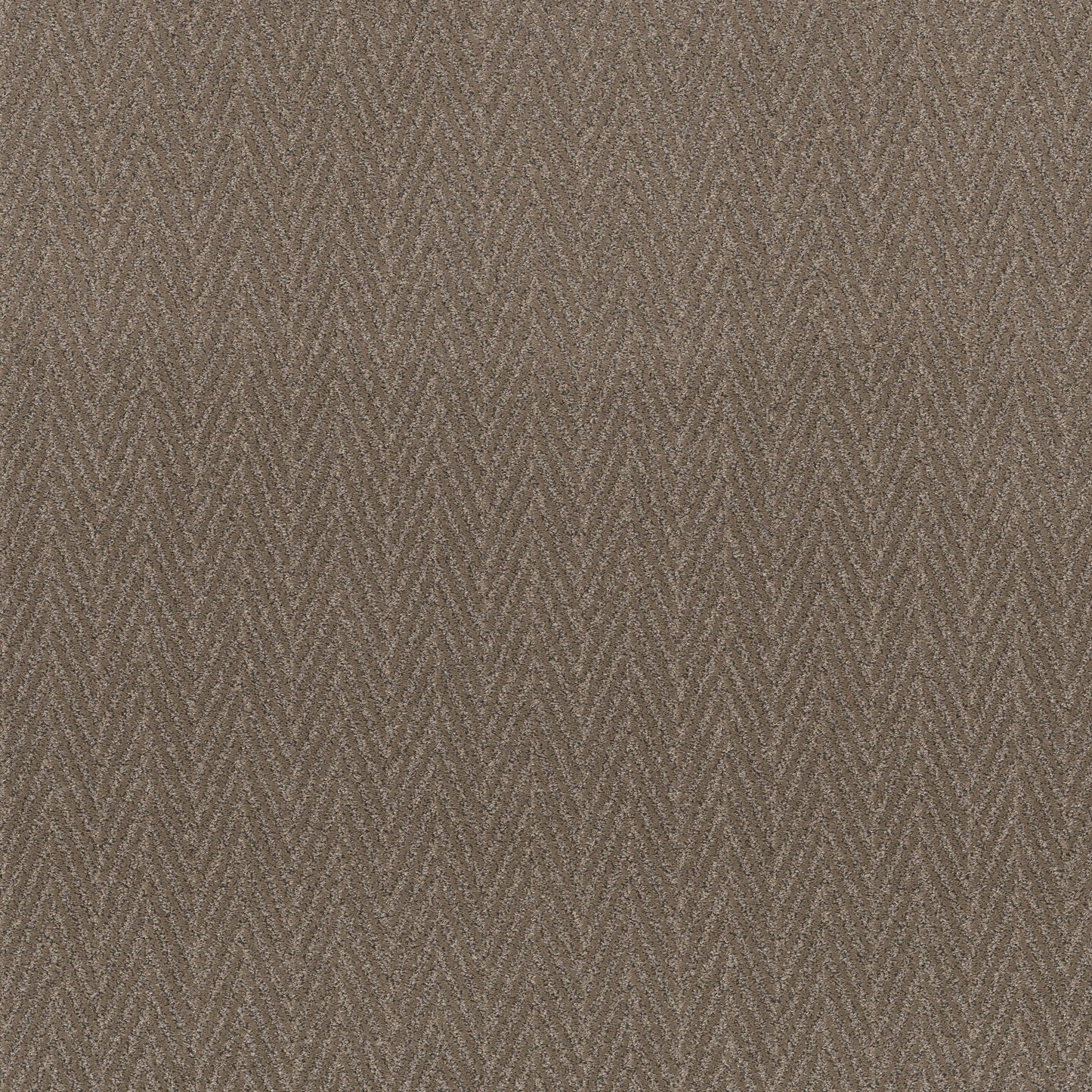 Kit: Sable