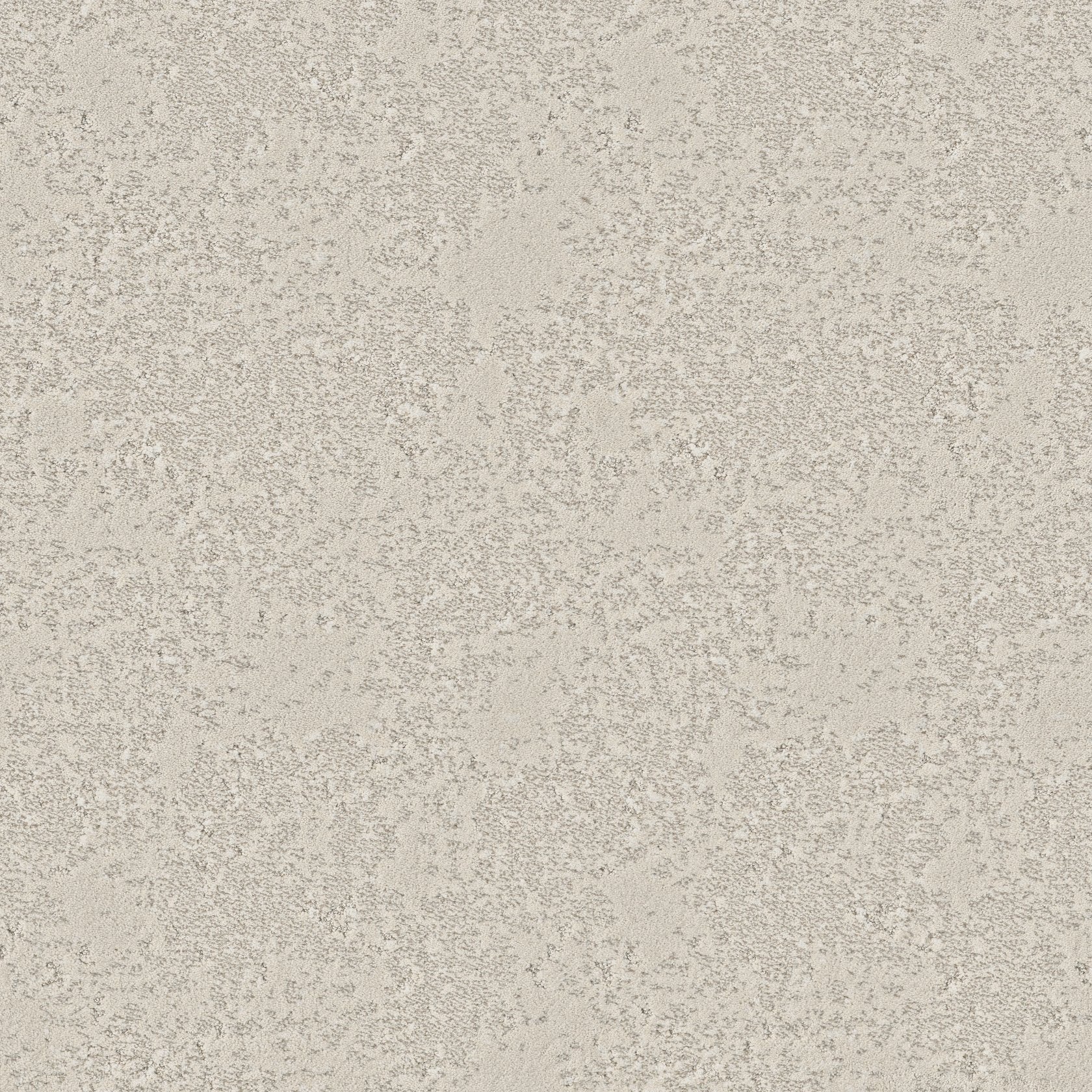 Fancy That: Timid White