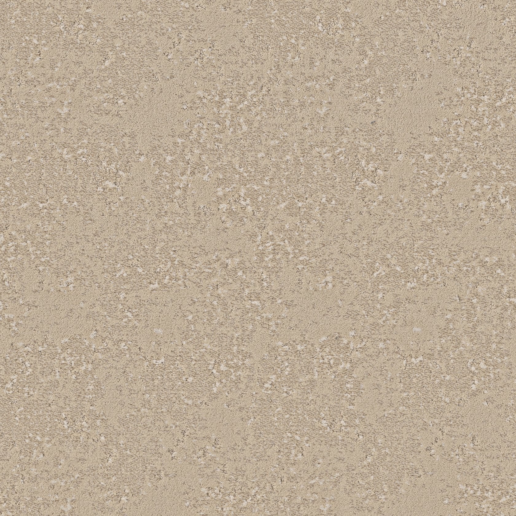 Fancy That: Pale Almond