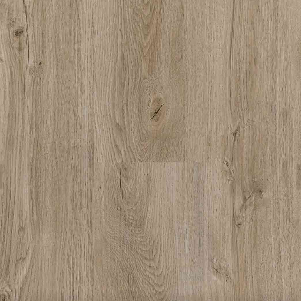 Truffle Oak 453 443 Glue Down Vinyl $1.99/sf 67.7sf/box