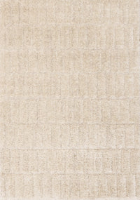 Roman 48303/100