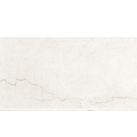 12"x24" Brighton Gold Polished  Tile $3.99/sqf 16sqf/box