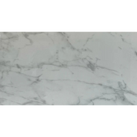 12"x24" Plata Carrera Polished Tile $2.99/sqf 15.5sqf/box