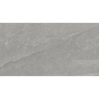 12"x24" Nord Palladium Matte Tile $4.99/sf 11.41 sf/box