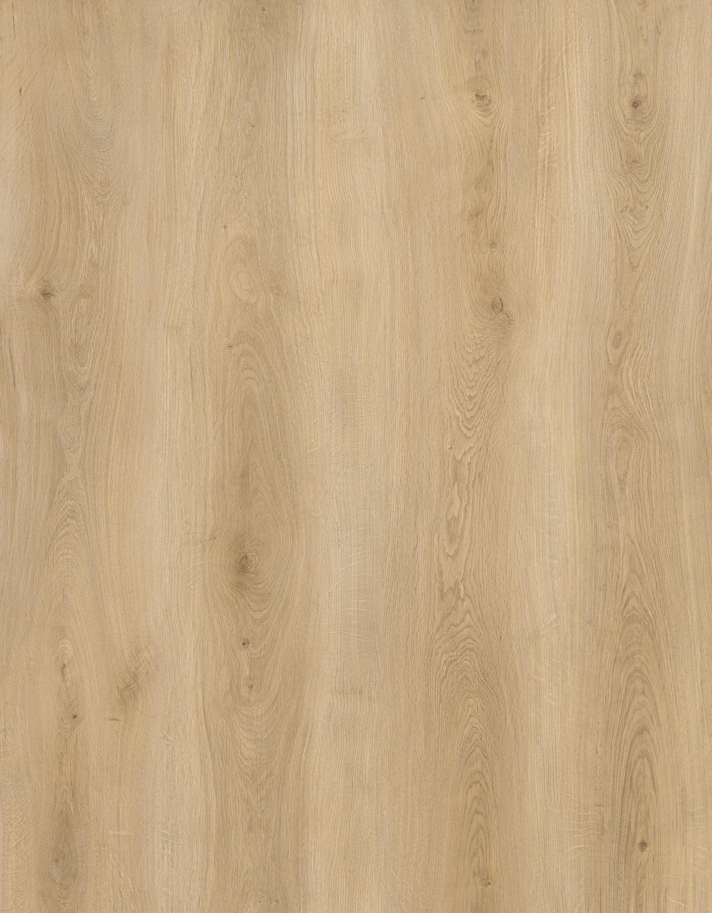 V8006 (Pad Attached) $2.99/sf 21.31sf/box