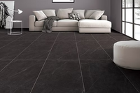 24"x48" Carbone Matte Tile $3.99/sf 16 sf/box