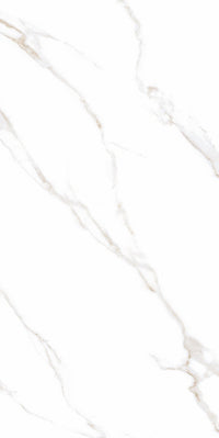 24"x48" Calacatta Mont Honed Tile $3.99/sqf 15.5sqf/box