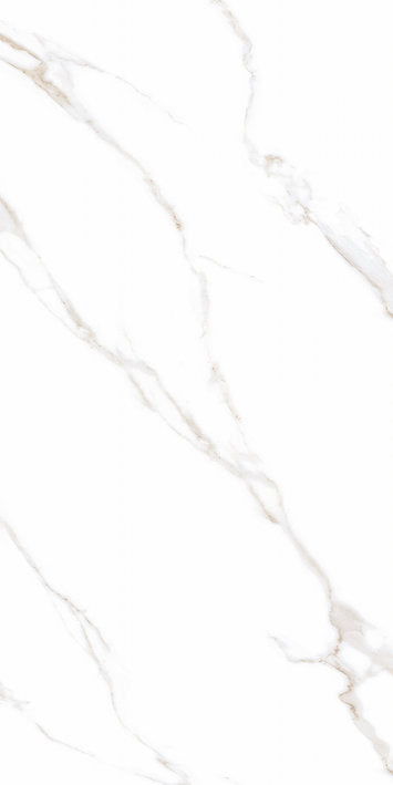 24"x48" Calacatta Mont Honed Tile $5.99/sqf 15.5sqf/box