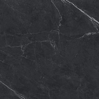 24"x24" Carbone Matte Tile $3.99/sf 15.52 sf/box