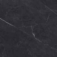 24"x24" Carbone Matte Tile $3.99/sf 15.52 sf/box