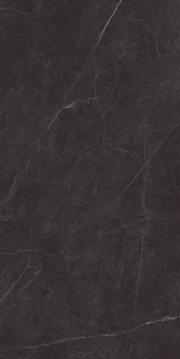 24"x48" Carbone Matte Tile $3.99/sf 16 sf/box