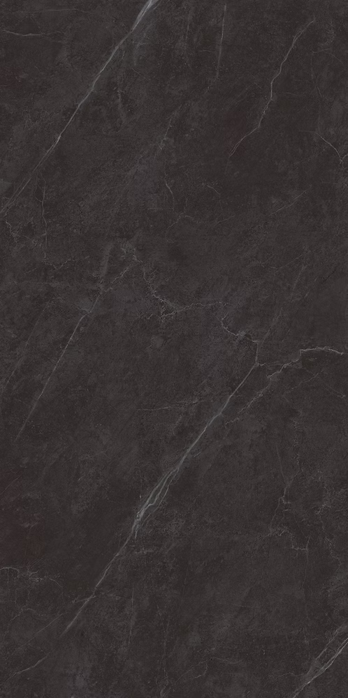 24"x48" Carbone Matte Tile $3.99/sf 16 sf/box