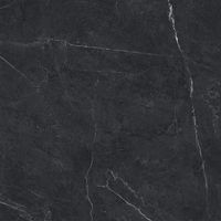 24"x24" Carbone Matte Tile $3.99/sf 15.52 sf/box
