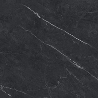 24"x24" Carbone Matte Tile $3.99/sf 15.52 sf/box