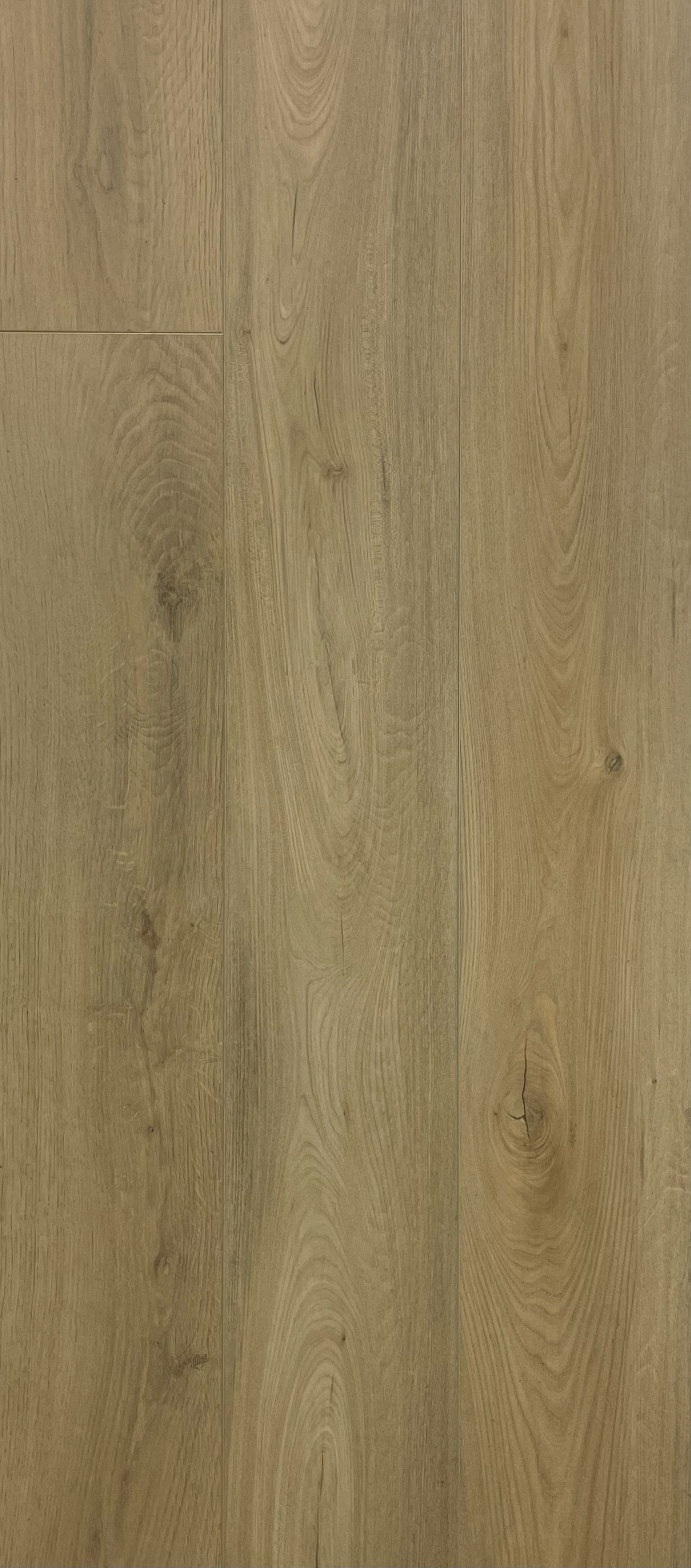 Conway Elm (Pad-Attached) $3.99/sf 17.91sf/box