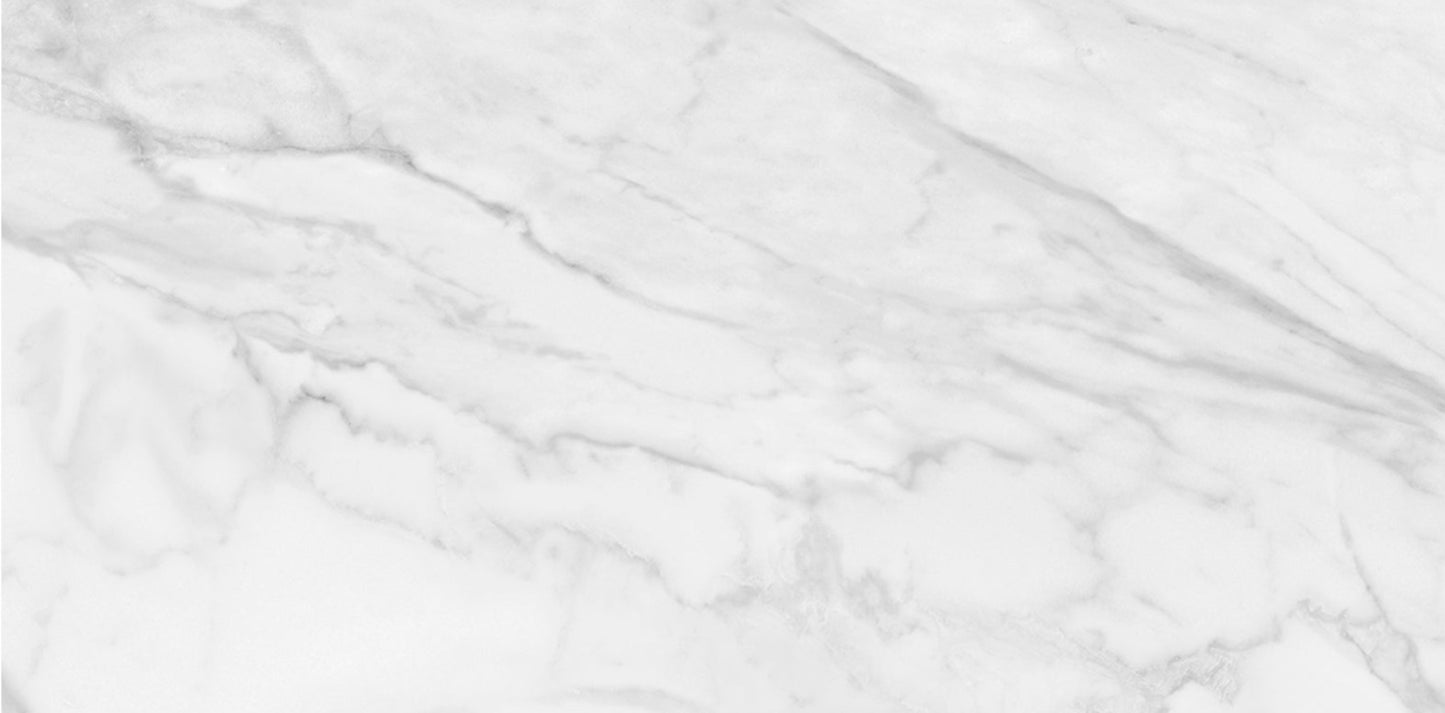 24"x48" Plata Statuario Brina Matte Porcelain Tile $5.99/sf 15.5 sf/box