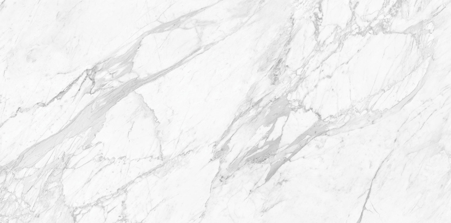 24"x48" La Marca Statuarietto Porcelain Tile $6.99/sf 15.5 sf/box