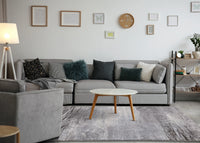Kalora Rug: Breeze 2495/1324