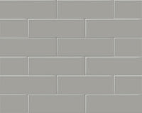 4" x 16" Soho Cement Chic Glossy Tile Wall Tile $3.99/sf 10.76 sf/box