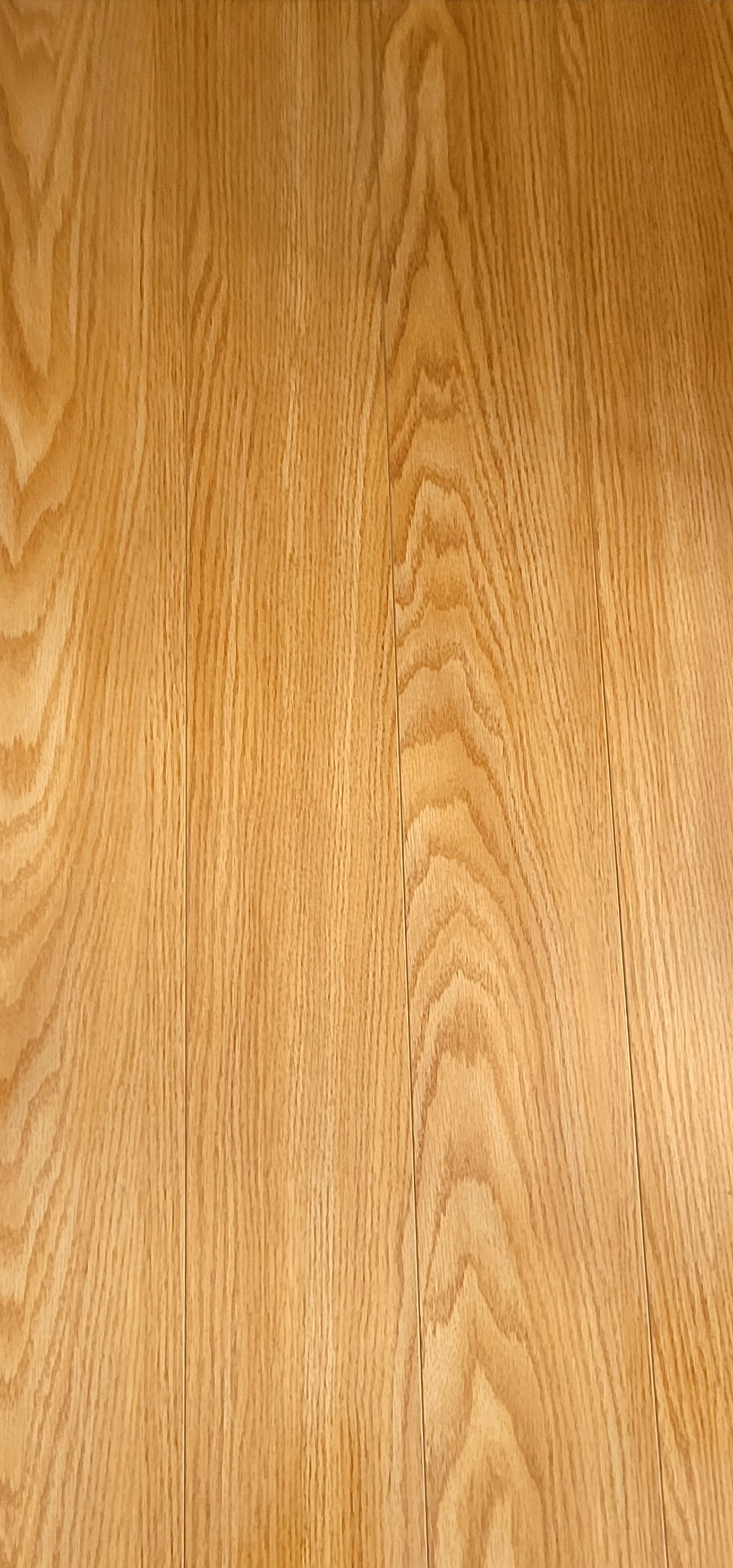TF 1123-F Glossy Laminate $2.99/sf 19.78 sf/box